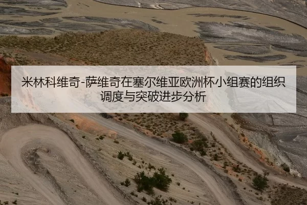 米林科维奇-萨维奇在塞尔维亚欧洲杯小组赛的组织调度与突破进步分析